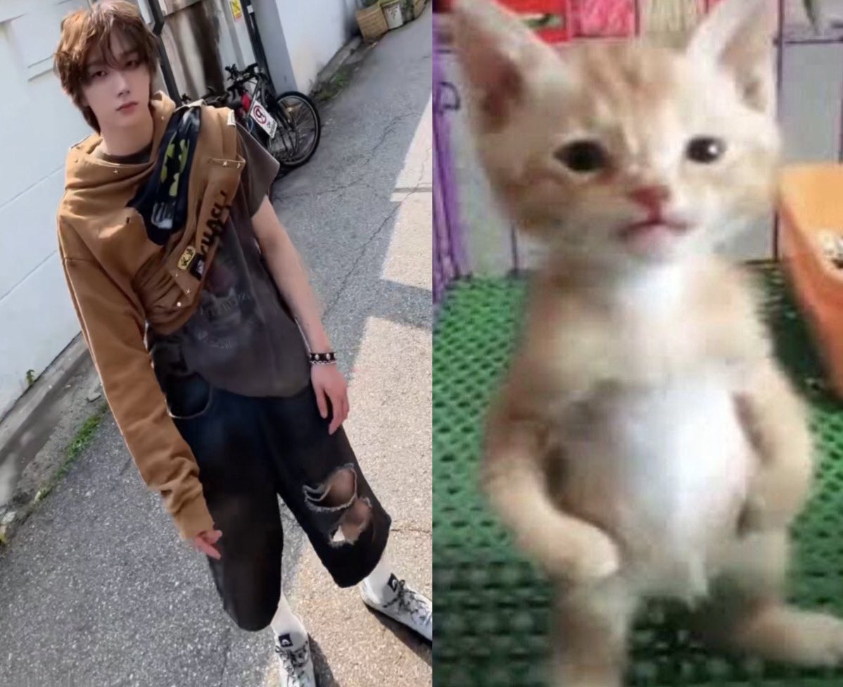 vane 🍓🐈 tweet media