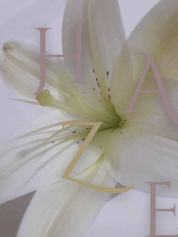 a_blue_for_me's tweet image. ...그렇게 됐다
결국 쪄왔습니다 브리저튼AU 말로리 × 베니테스 선결혼후연애 혐관삽질 모두가 다 아는 오만과 편견의 맛.

[말로베니] Haze: Prologue

온몸이 저리도록 선명하게.

posty.pe/w76pda