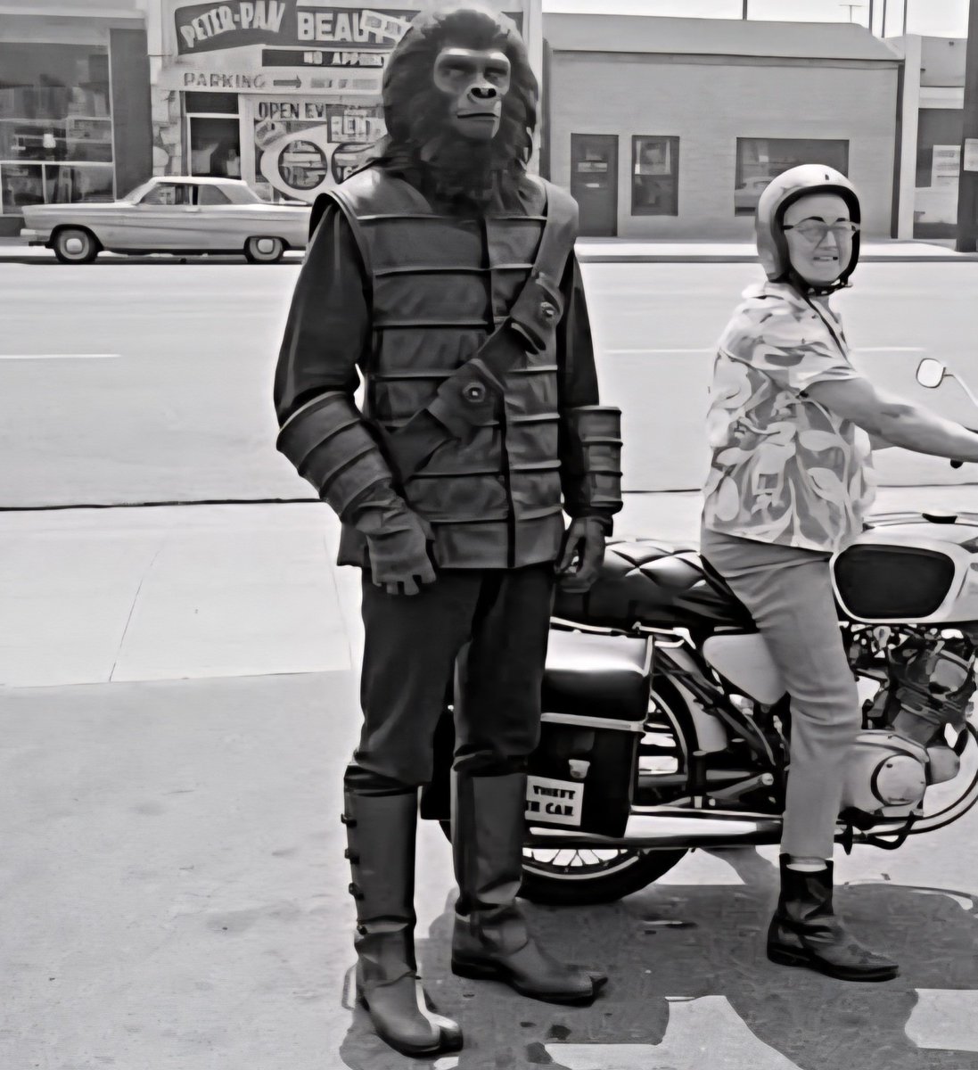 Ace Motorcycle (@acemotorcycle) on Twitter photo 