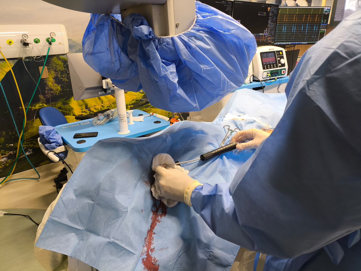 Fabricio Vassallo, MD, PhD tweet media