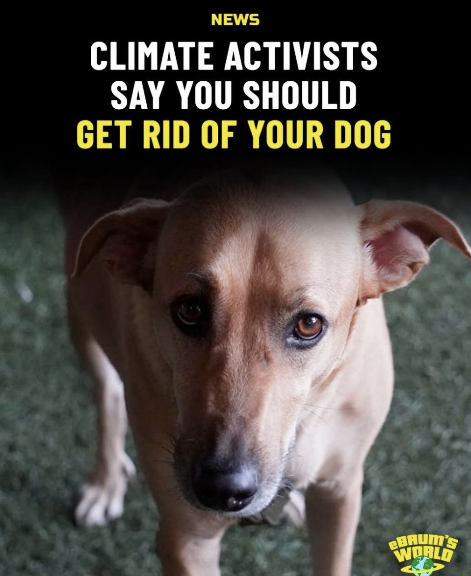 TruthFairy131's tweet photo. The Globalists &amp; woke radicals are coming after your dogs. 

These people are insane. 

Never fck with a humans dog 😡 https://t.co/wyjVSWBZM1