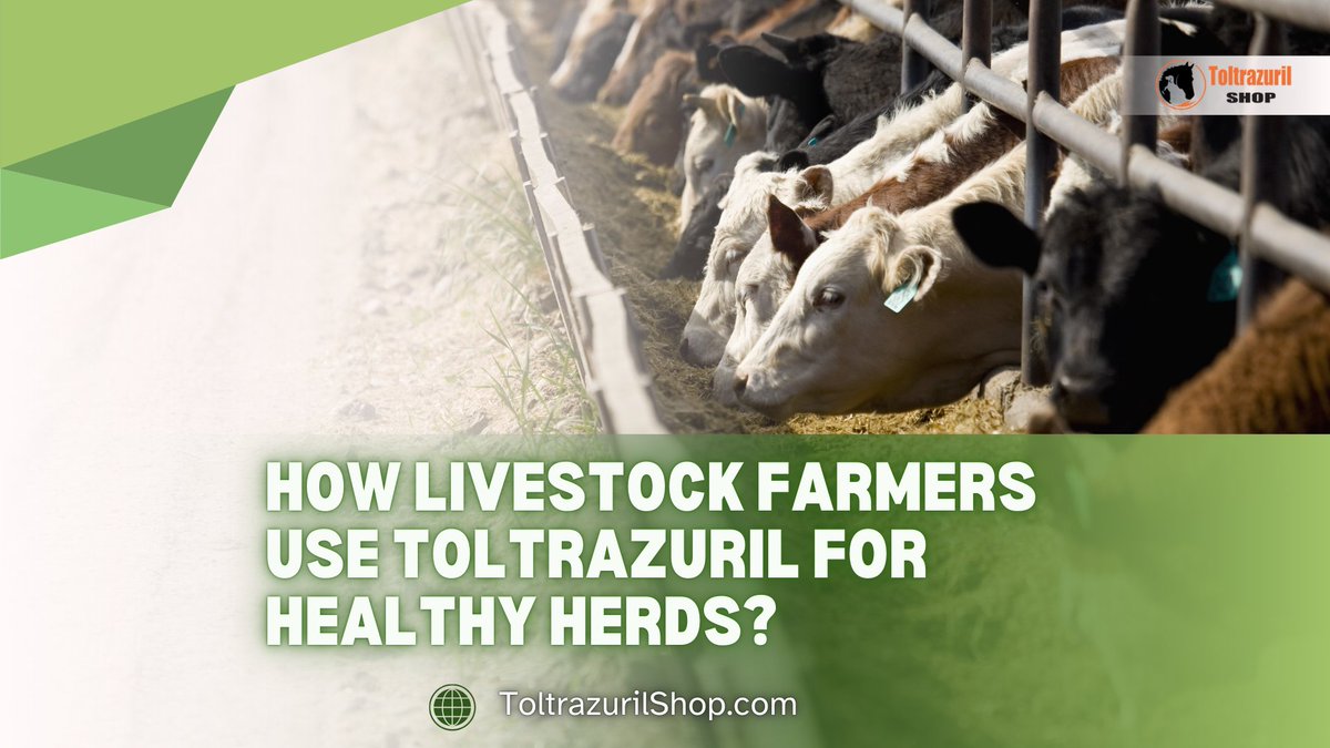 Toltrazuril Shop tweet media