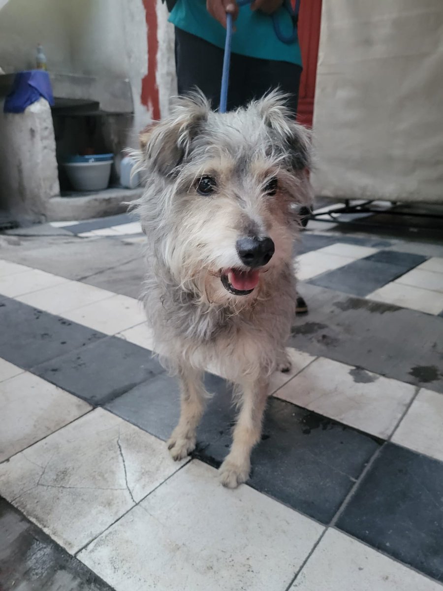 Ayuda por favor 🙏🏾 🙏🏾 o ayuda con 100 pesitos para la pensión de Flaquito  #rt