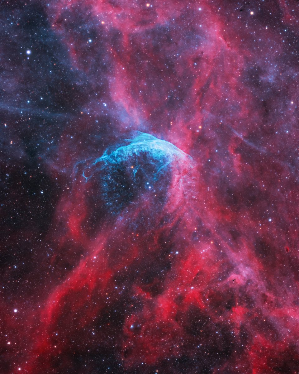Have you ever photographed this one before? 🤔

Say hello to Wolf-Rayet 134 in Cygnus!

The WR catalog objects are known for their bubble-like shells of gas surrounding them.

This is my latest attempt from the backyard, with a healthy amount of overall exposure time (by my