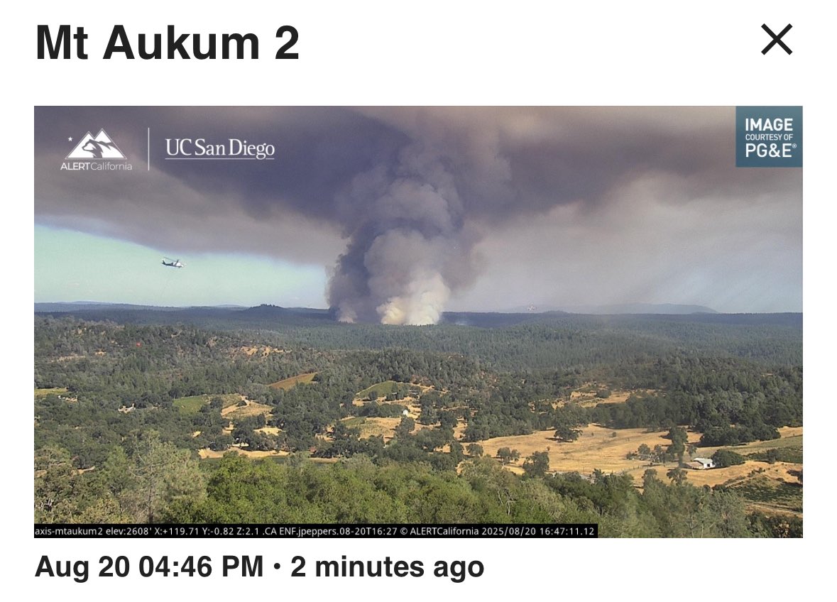 CalDisasters's tweet photo. She Gone! #CoyoteFire in #ElDoradoCounty near #Somerset. https://t.co/sx1hL5aFCC