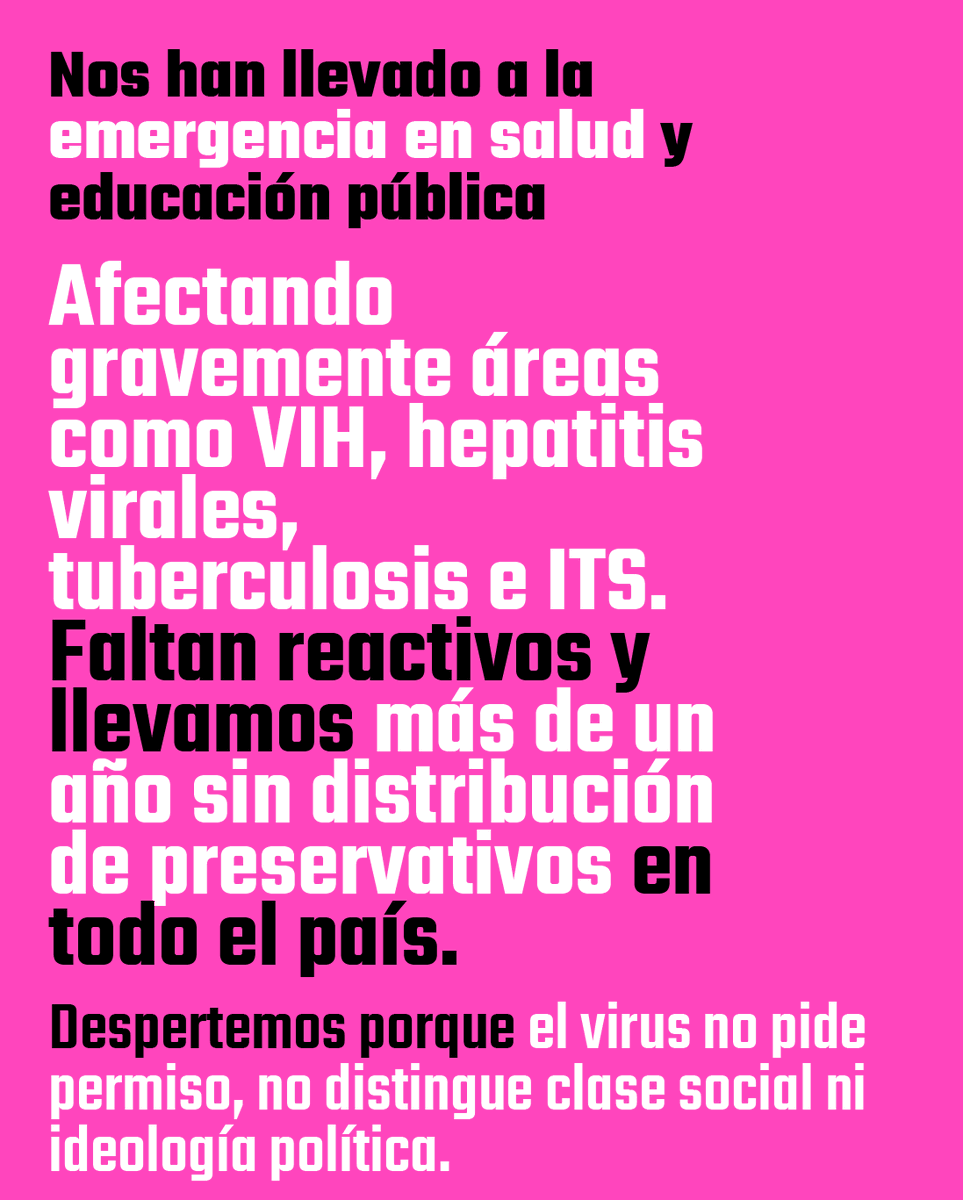 Liga LGBTIQ+ de las Provincias tweet media