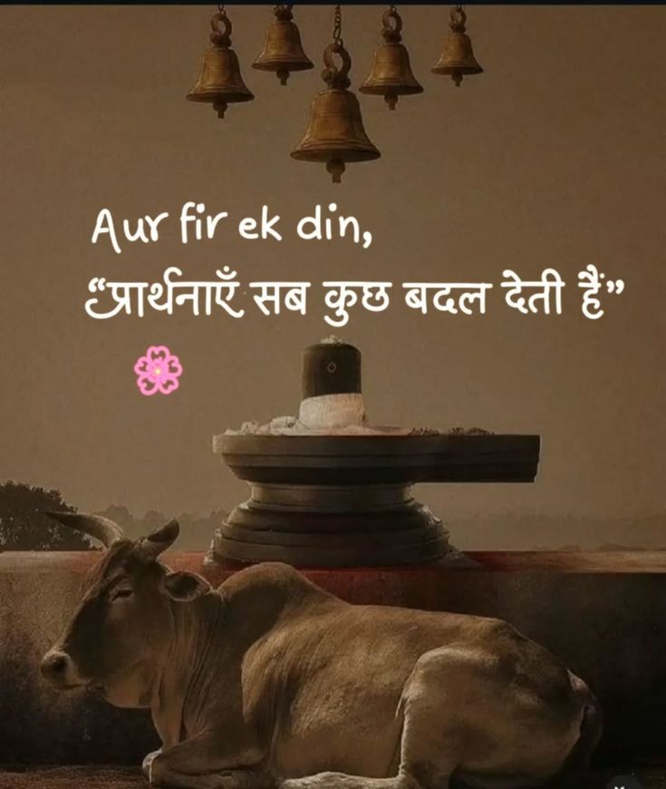 कृष्णाय वासुदेवाय हरये परमात्मने। प्रणत क्लेशनाशाय गोविन्दाय नमो नम:॥