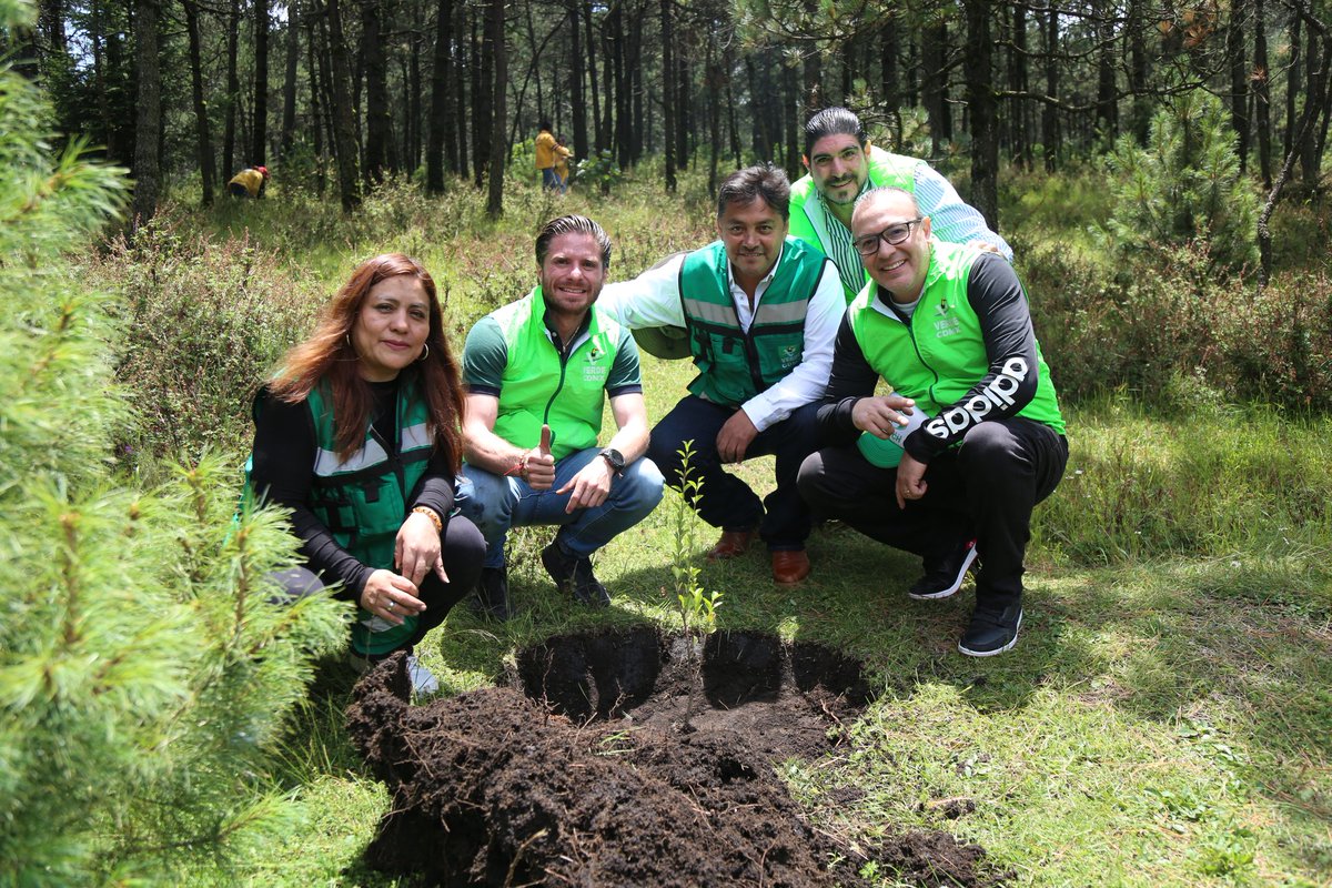 talapariente's tweet photo. Hoy, en la familia Verde sembramos vida en Tlalpan con una jornada de reforestación, cuidando uno de los pulmones más valiosos de nuestra ciudad. 🌱💚
#Reforestación #TlalpanVerde #PulmonesDeLaCiudad #FamiliaVerde #CDMXVerde #CuidemosElPlaneta https://t.co/dGuZCj9FqK