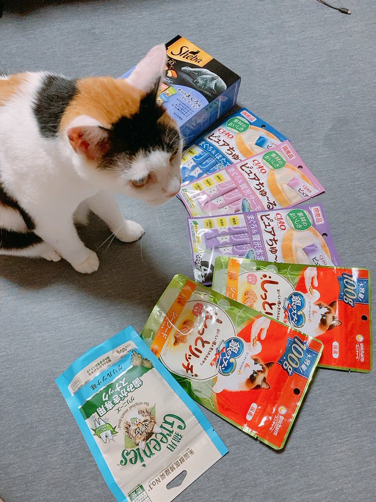 mitz_calico's tweet photo. おやつまとめ買いに興奮する子

これ全部わたしの…？ってなってた☺️

#ねこ #猫 #cat #保護猫 #元野良猫 #三毛猫 #みけねこ #calicocat #猫好きさんと繋がりたい #猫との暮らし https://t.co/ngIota9Wiz