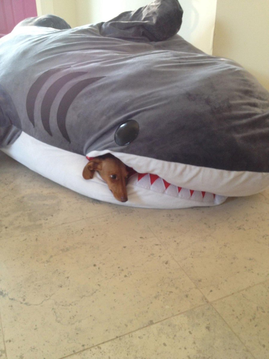 twaniimals's tweet photo. https://t.co/1yWwYDZm5A