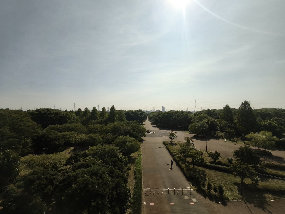 miki_mfb's tweet image. 晴れです☀