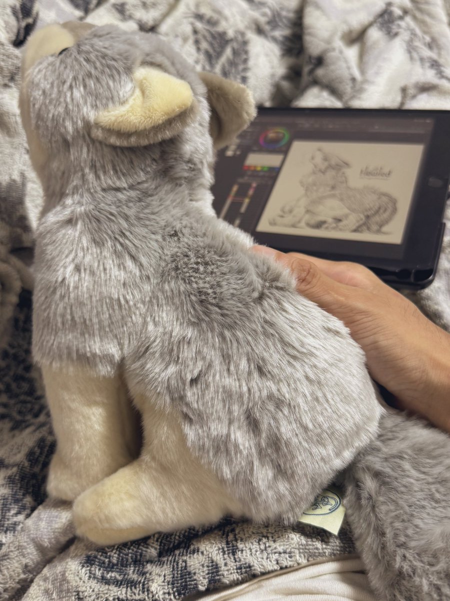 お誕生日欲しいものリストからぬいぐるみありがとうございました！トオボエのラクガキ🐾