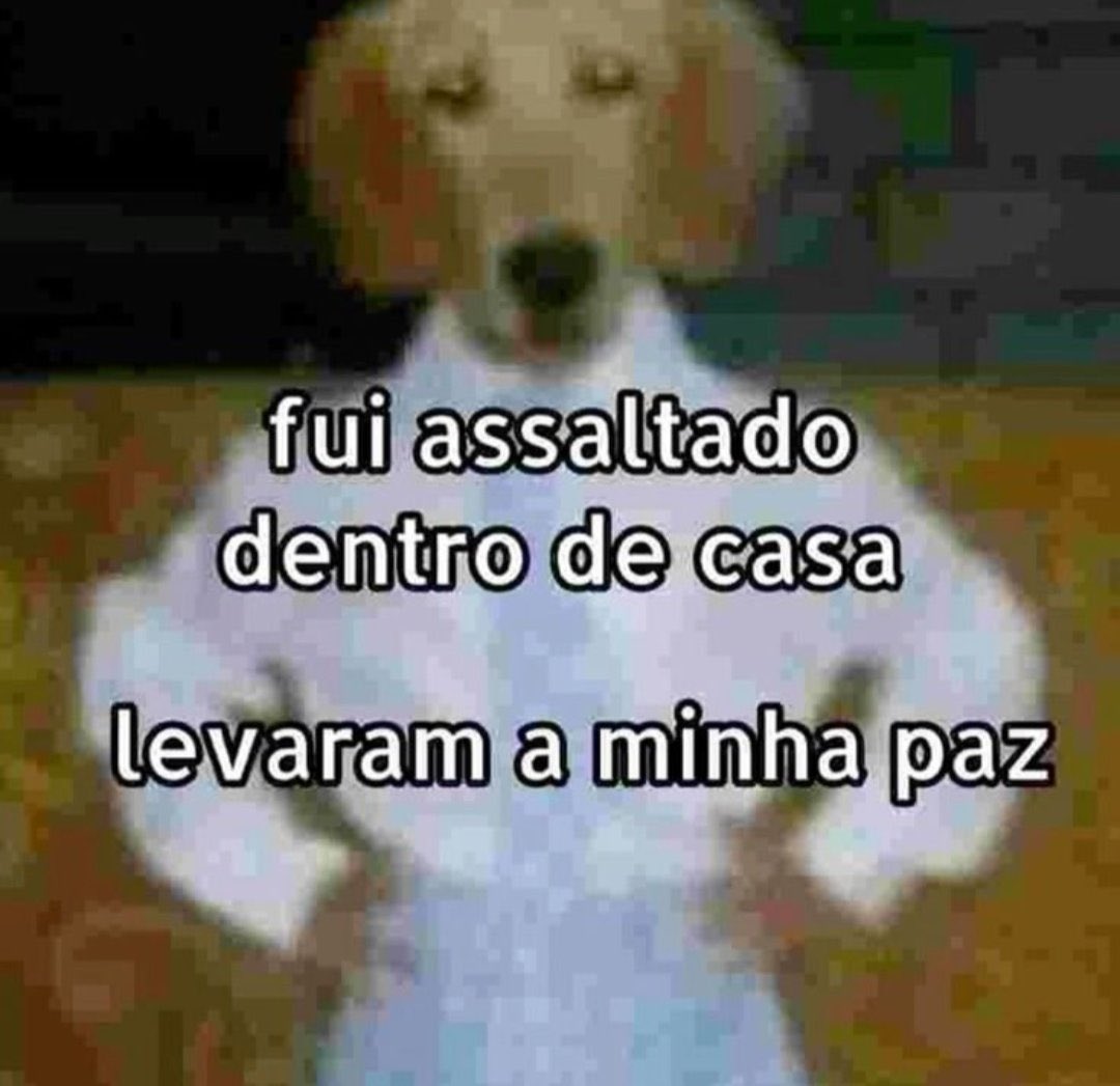 Obrigada Ceará, obrigada.