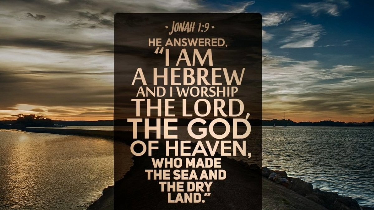 DarrellKoop's tweet image. 