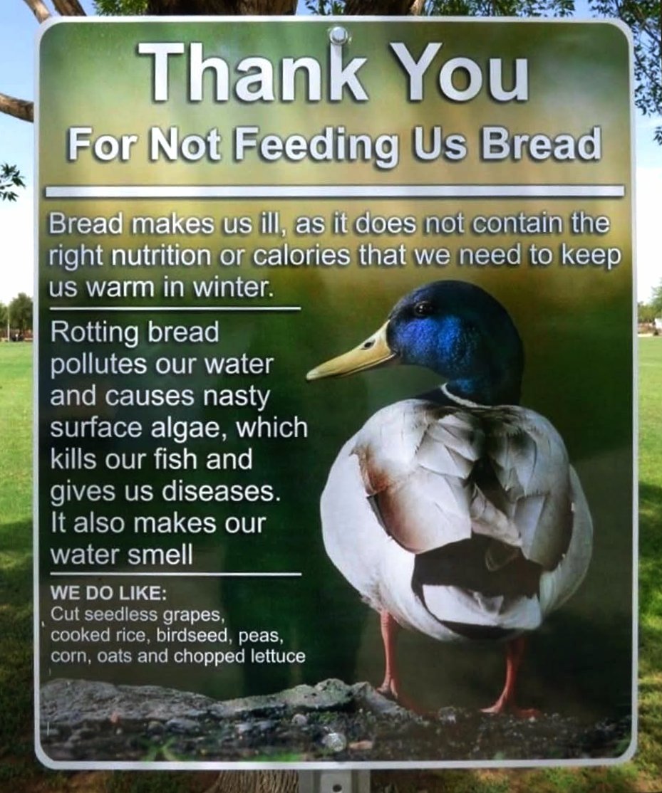 Among other reasons...