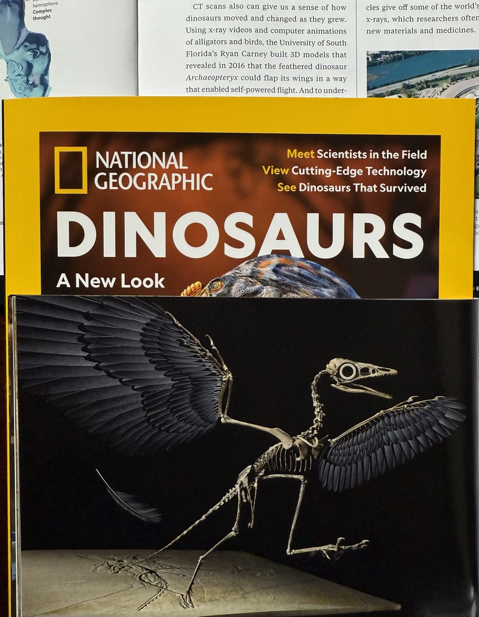 Ryan Carney (@ryanmcarney) on Twitter photo 