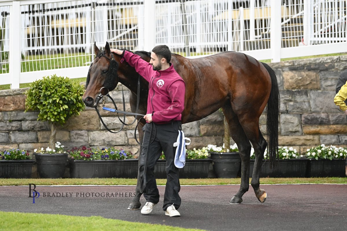 John P Thompson (@jtracingrwik) on Twitter photo Let it RIP ๐ฅโญ๏ธ
Zouripper dominated the challenging conditions at Warwick Farm yesterday, with a master ride in the last from <a href="/nashhot/">Nash Rawiller</a> ๐
Congratulations to owners and breeders Parsons Creek Farm, another win on the books for the RIPPER ๐ Let it RIP ๐ฅโญ๏ธ
Zouripper dominated the challenging conditions at Warwick Farm yesterday, with a master ride in the last from <a href="/nashhot/">Nash Rawiller</a> ๐
Congratulations to owners and breeders Parsons Creek Farm, another win on the books for the RIPPER ๐