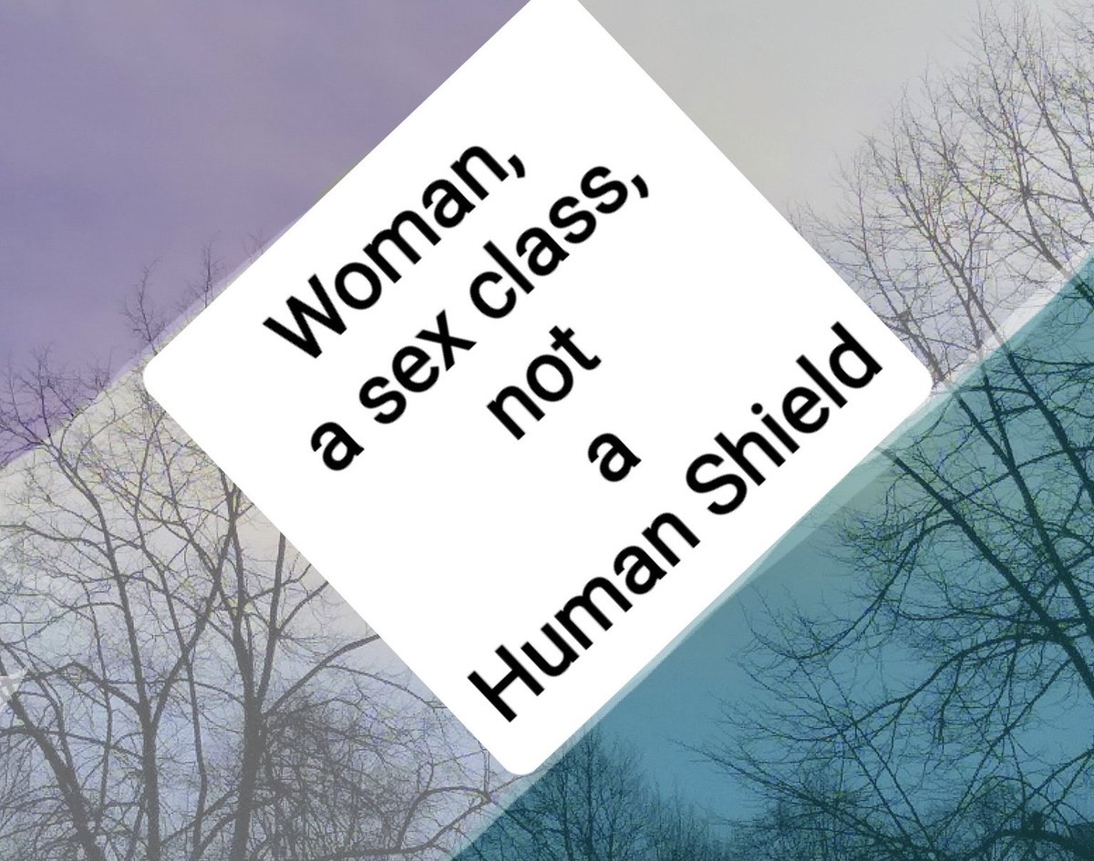 Women are not human shields for men who fear other men's violence or intolerance.
There are many groups of men who may be vulnerable in prison. Prisons deal with this. This is not women's mess to clean up. Male violence is your sex class's mess.