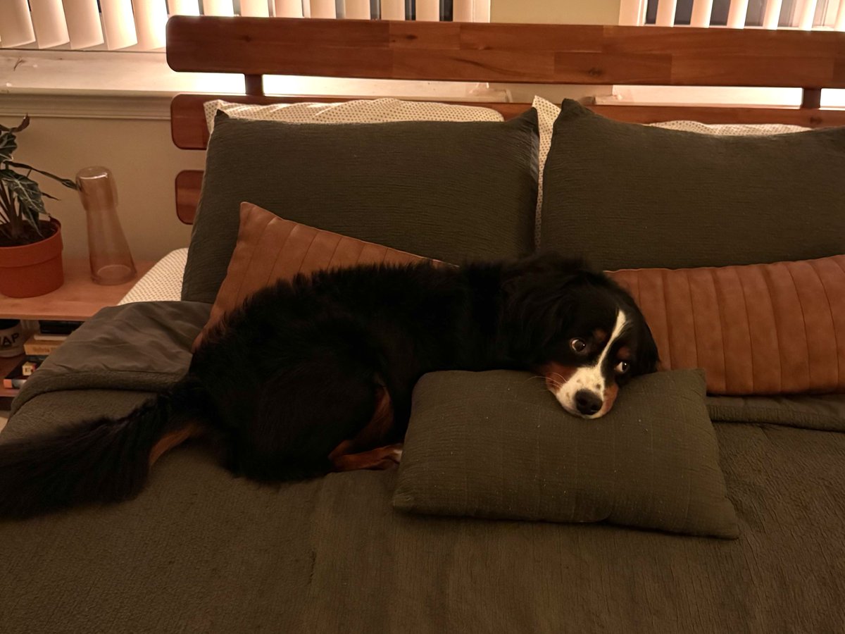 steven (fka stephen) tweet media