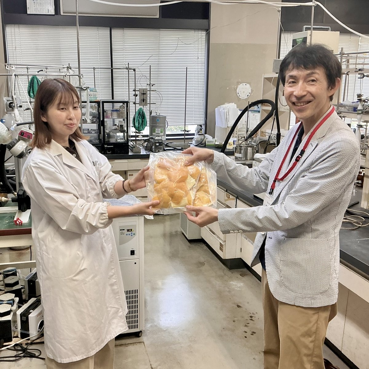 setsunan_pharm's tweet photo. 薬化学研究室が、大阪赤十字病院と共同研究を開始！✨
通常は廃棄されてしまう河内晩柑（高知県産）の果皮から香り成分を抽出し、院内でのアロマテラピーに利用します😊
*写真3-4枚目は、薬学部附属薬用植物���のザボン（河内晩柑の一種）です✨

#摂南大学
#摂薬
#河内晩柑
#アロマセラピー
#sdgs12 https://t.co/CyPzcYvENC