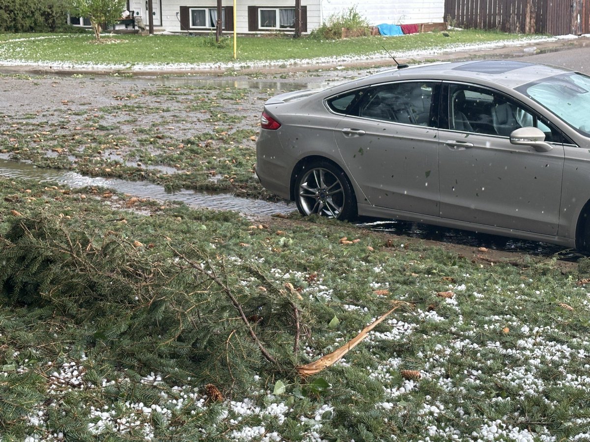 Joelle Tomlinson tweet media