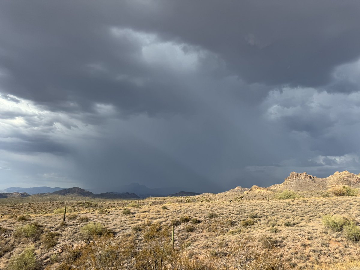 Michael Pooley tweet media