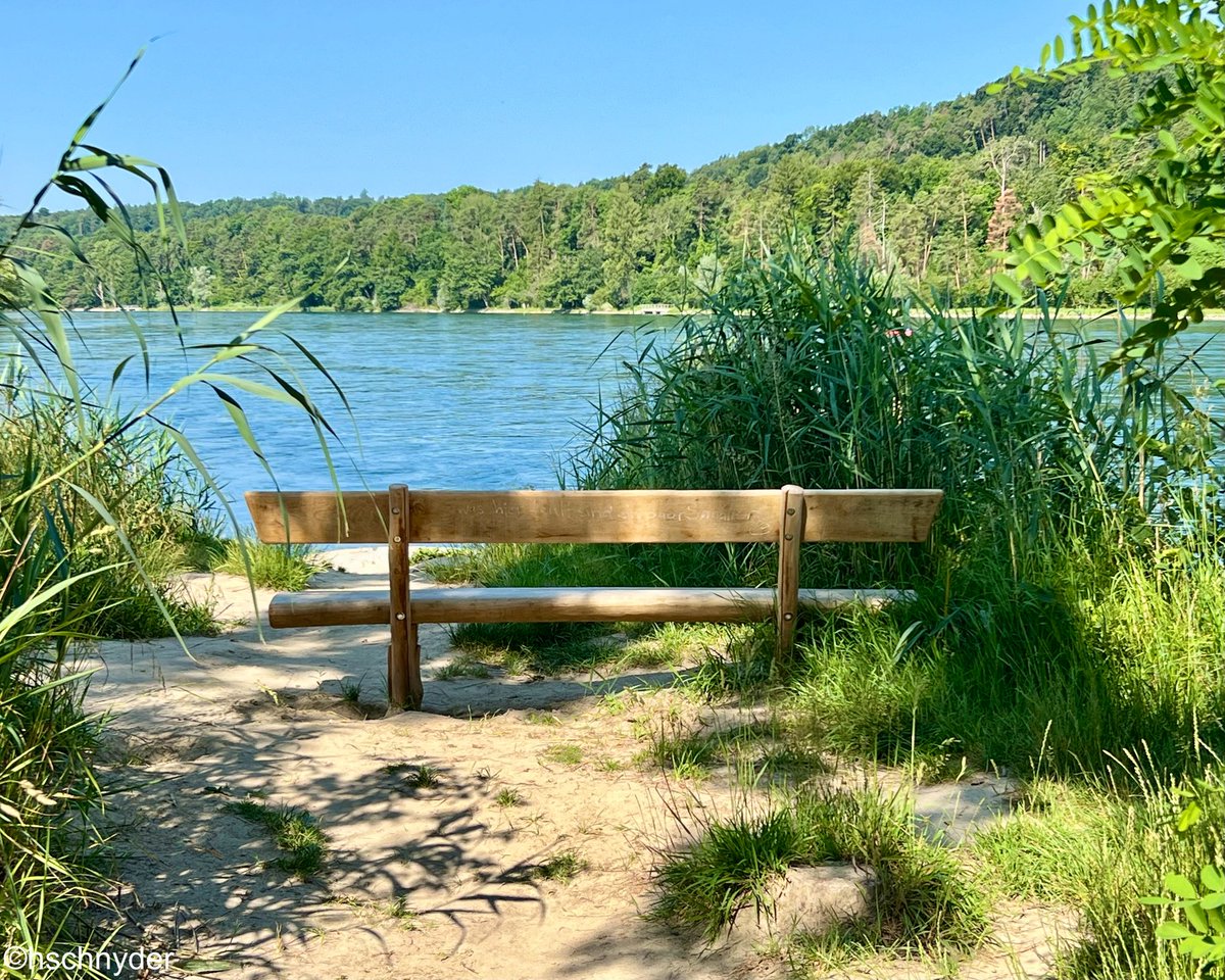 HrSchnyder's tweet image. Naturschutzgebiet "Thurauen"-Aussichtspunkt "Thurspitz"
#thurauen #rhein #thur #wandern #hiking