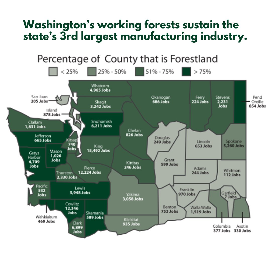 Washington state's forestry products sector: 
🌲Supports more than 100,000 jobs
🌲Generates nearly $6 billion in wages annually
🌲Is the second-largest producer of softwood lumber in the U.S.
🌲Sustains the state's third-largest manufacturing industry
#workingforests