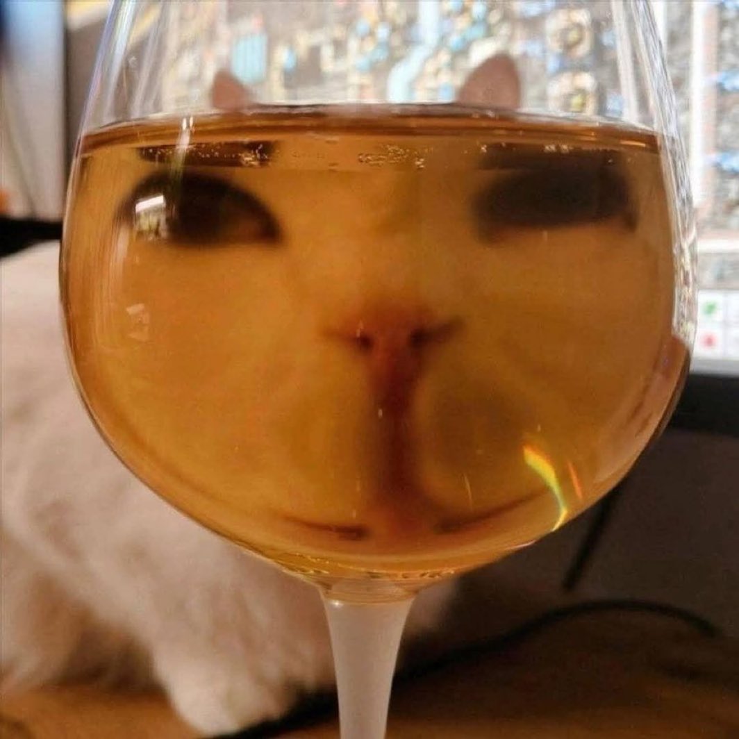 nuGuy😑 tweet media