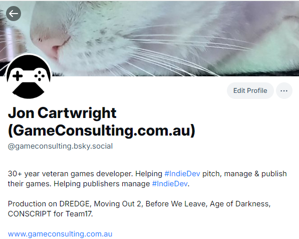 Game Consulting 🎮 tweet media