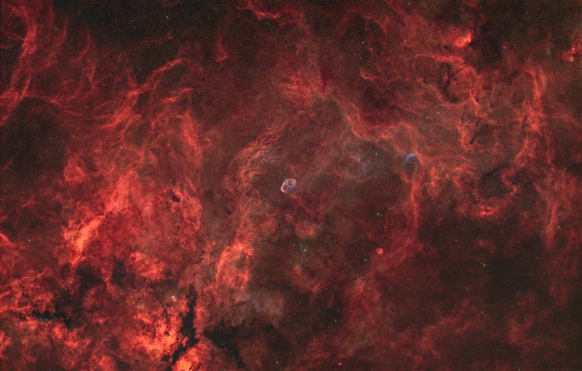 NelzAstro tweet media