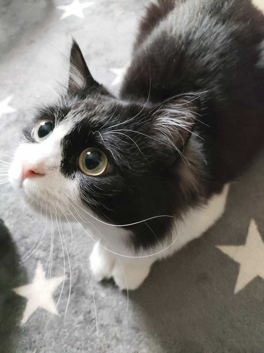 まんまるどうぞ☆