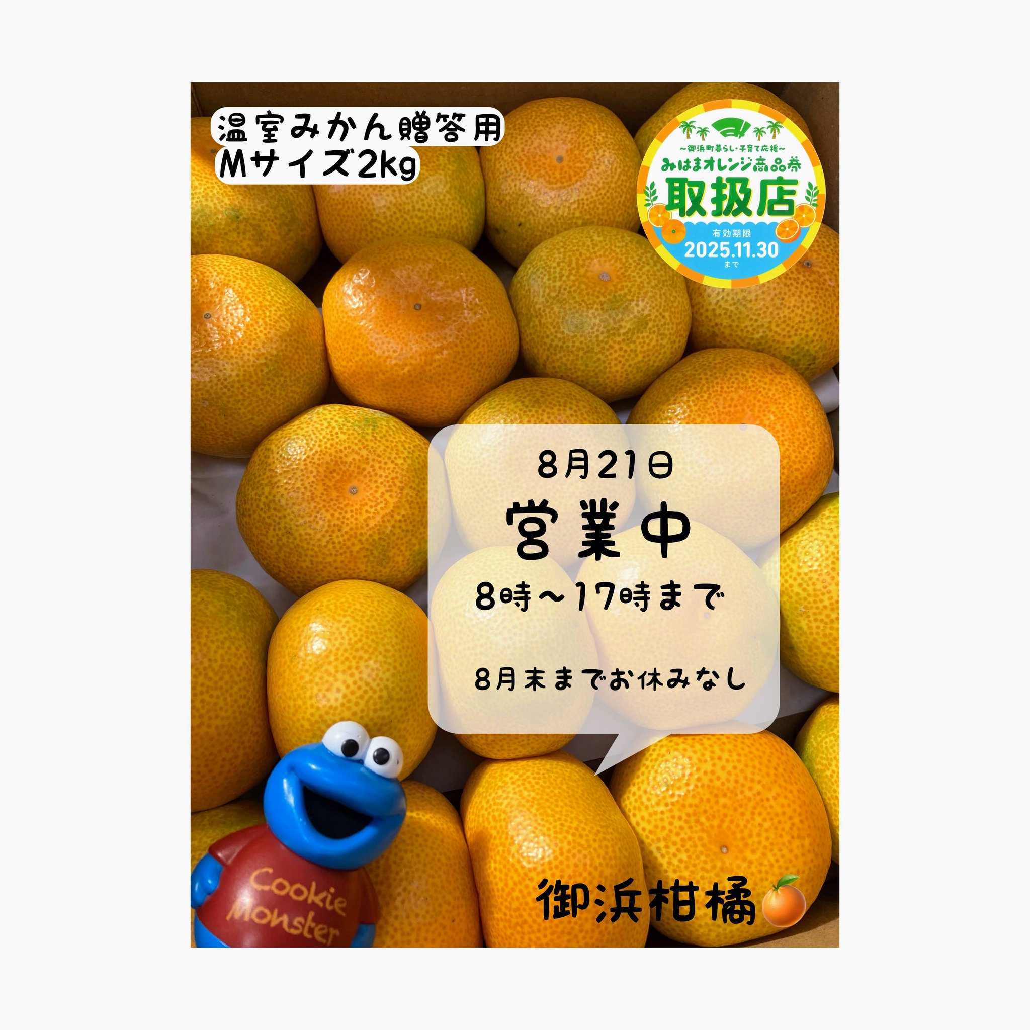 みかん 送料無料＊ きたはらさんちの有田みかん 5Kg 【お届け日指定不可