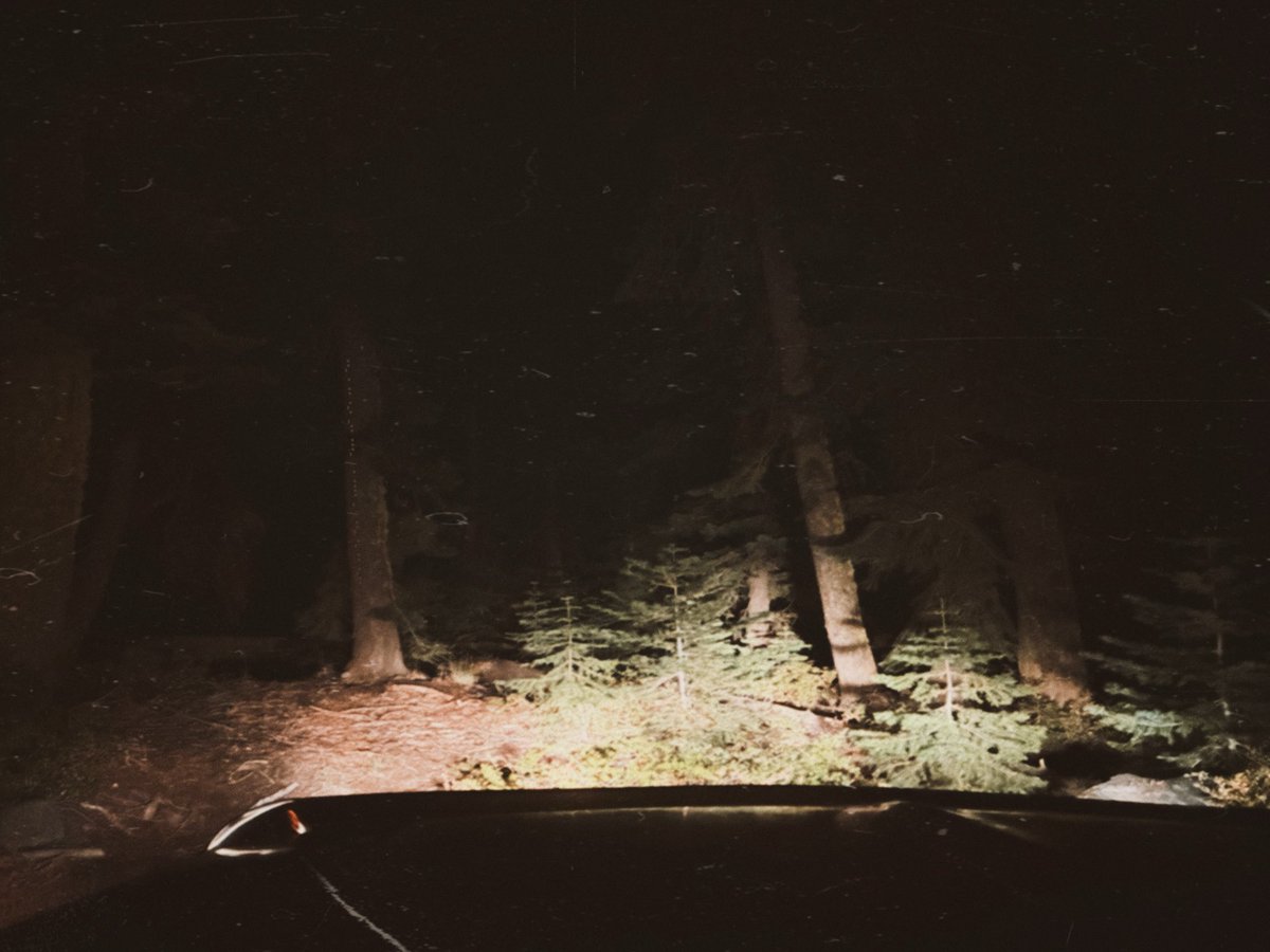 GravesTapes's tweet photo. Find what’s hidden https://t.co/zgddzZO8gV