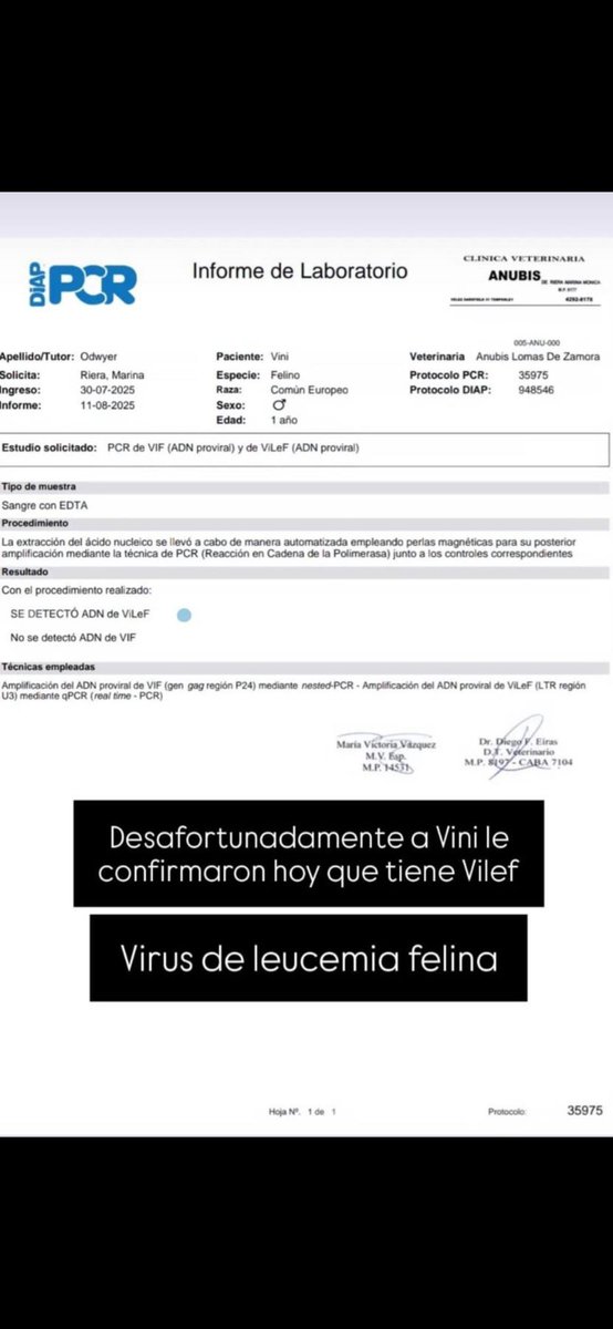 Por favor me ayudan con Rt 
#Vini
