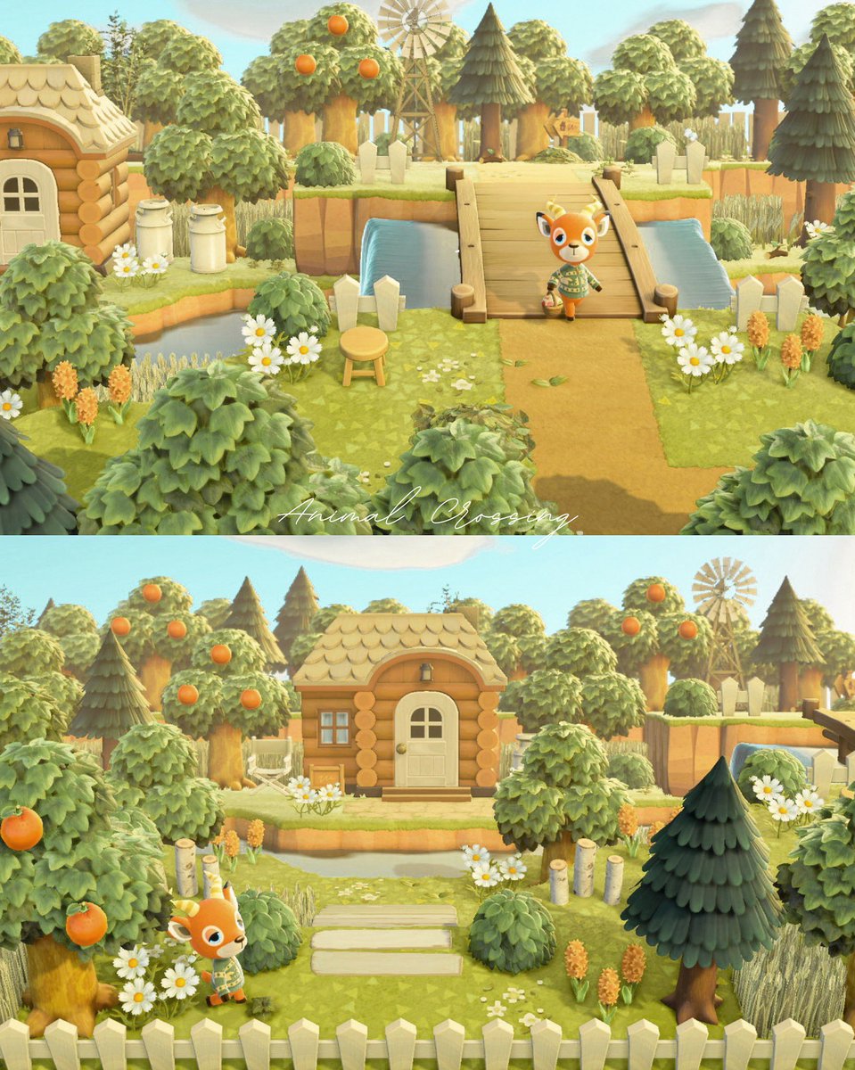 お家周りをお散歩中のペーター

#あつ森 #あつまれどうぶつの森
#あつ森写真部 #acnh #AnimalCrossing #AnimalCrossingNewHorizions