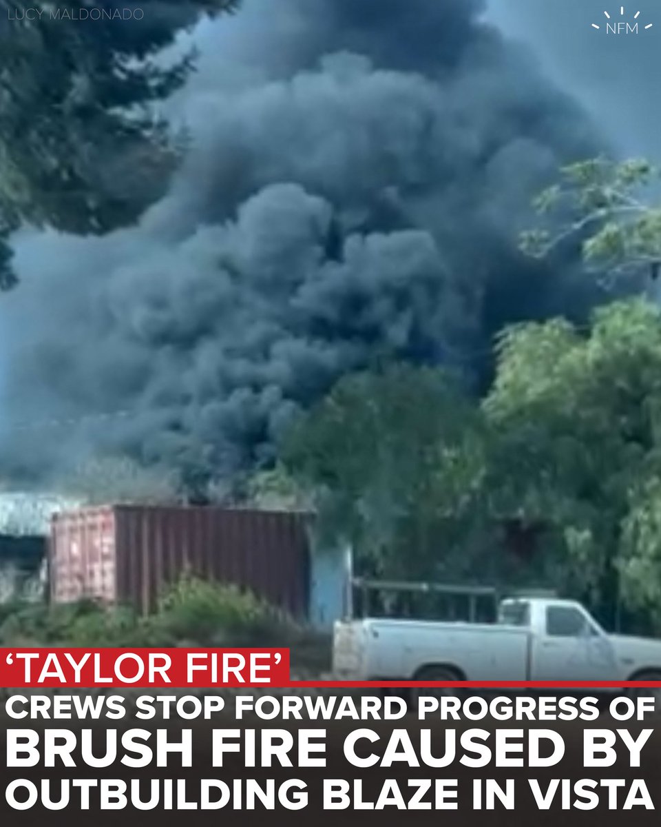 News Flash Media tweet media