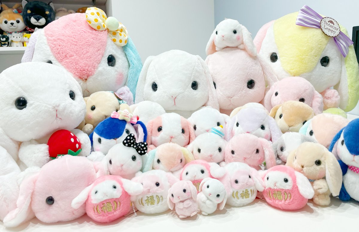 匿名発送❗テリアモン　ぬいぐるみ　LOVE　アミューズメント Amazon.co.jp: ホロライブ friends with u 星街すいせい