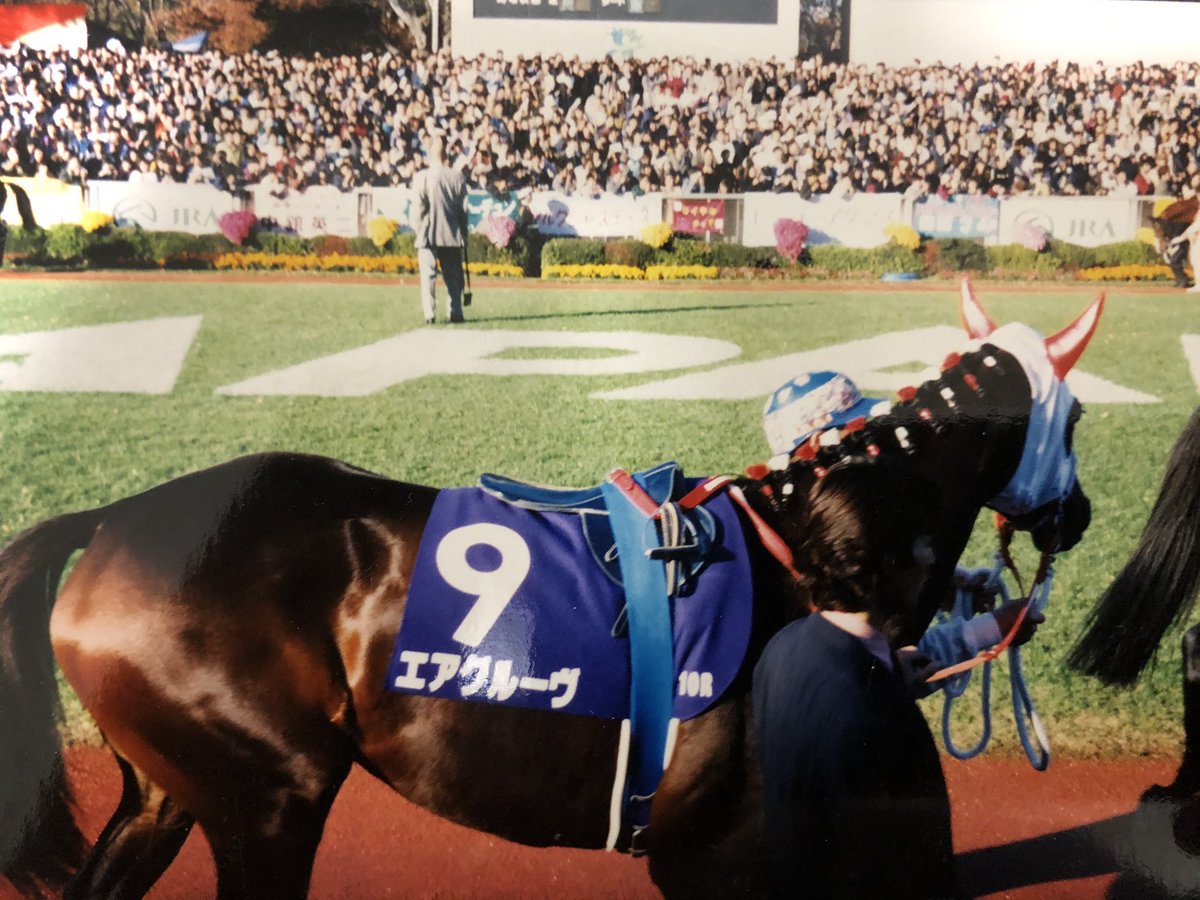 1997年のジャパンカップのエアグルーヴさん。 惜しくもピルサドスキー