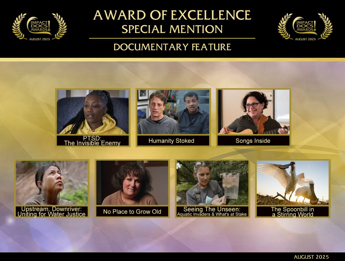 Congrats to the AWARD OF EXCELLENCE “SPECIAL MENTION” winners! Our TOP TEN Feature &amp; Short DOC filmmakers wowed with cinematic artistry, technical brilliance &amp; boundless creativity. Judges salute your achievements! ImpactDOCSAwards.com