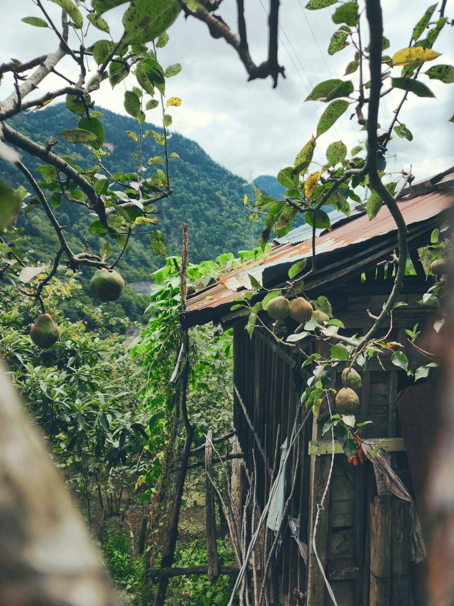 Özgür Saral (@ozgursrl) on Twitter photo 