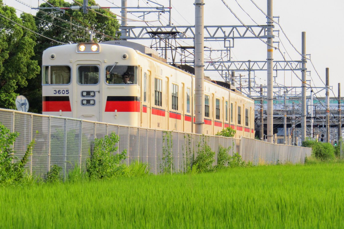 昨日の収穫
夕方は手柄駅近くで山陽電鉄を撮影。
光線状態最高でした！！