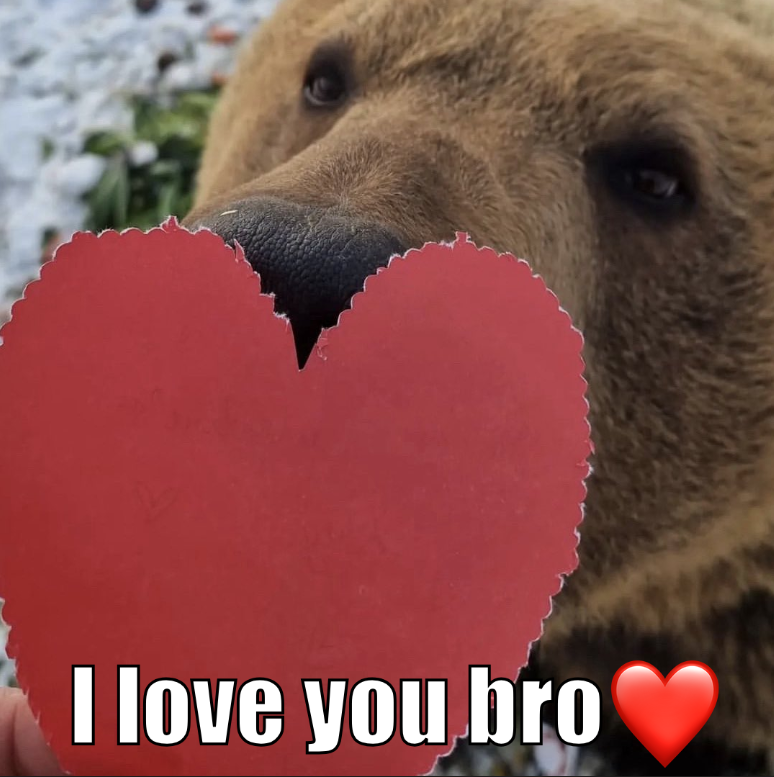 BearyDales (@bearydales) on Twitter photo 