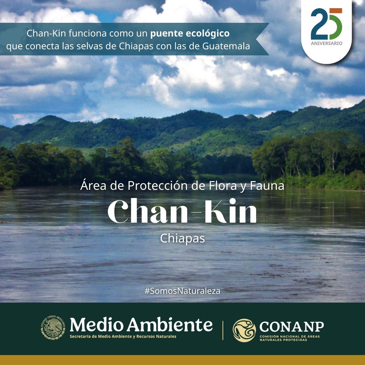CONANP_mx's tweet photo. 🎉 Hoy celebramos el Aniversario de las #ÁreasNaturalesProtegidas de Chiapas:
🌱 Área de Protección de Flora y Fauna #ChanKin
🌱 Monumento Natural #Yaxchilán
🌱 Reserva de la Biosfera #LacanTun
🌱 Monumento Natural #Bonampak
#SomosNaturaleza #GuardianesDeLaNaturaleza 🌺🌿🌊🌳 https://t.co/UWNtiPEu2d