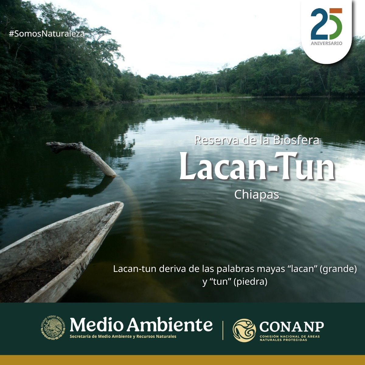 CONANP_mx's tweet photo. 🎉 Hoy celebramos el Aniversario de las #ÁreasNaturalesProtegidas de Chiapas:
🌱 Área de Protección de Flora y Fauna #ChanKin
🌱 Monumento Natural #Yaxchilán
🌱 Reserva de la Biosfera #LacanTun
🌱 Monumento Natural #Bonampak
#SomosNaturaleza #GuardianesDeLaNaturaleza 🌺🌿🌊🌳 https://t.co/UWNtiPEu2d