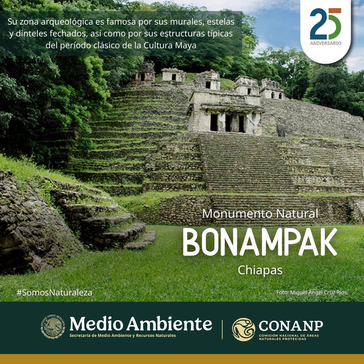 CONANP_mx's tweet photo. 🎉 Hoy celebramos el Aniversario de las #ÁreasNaturalesProtegidas de Chiapas:
🌱 Área de Protección de Flora y Fauna #ChanKin
🌱 Monumento Natural #Yaxchilán
🌱 Reserva de la Biosfera #LacanTun
🌱 Monumento Natural #Bonampak
#SomosNaturaleza #GuardianesDeLaNaturaleza 🌺🌿🌊🌳 https://t.co/UWNtiPEu2d