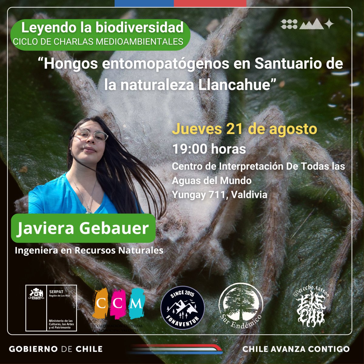 Red Bibliotecas Públicas Los Ríos tweet media