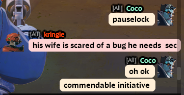 paused an entire match for this