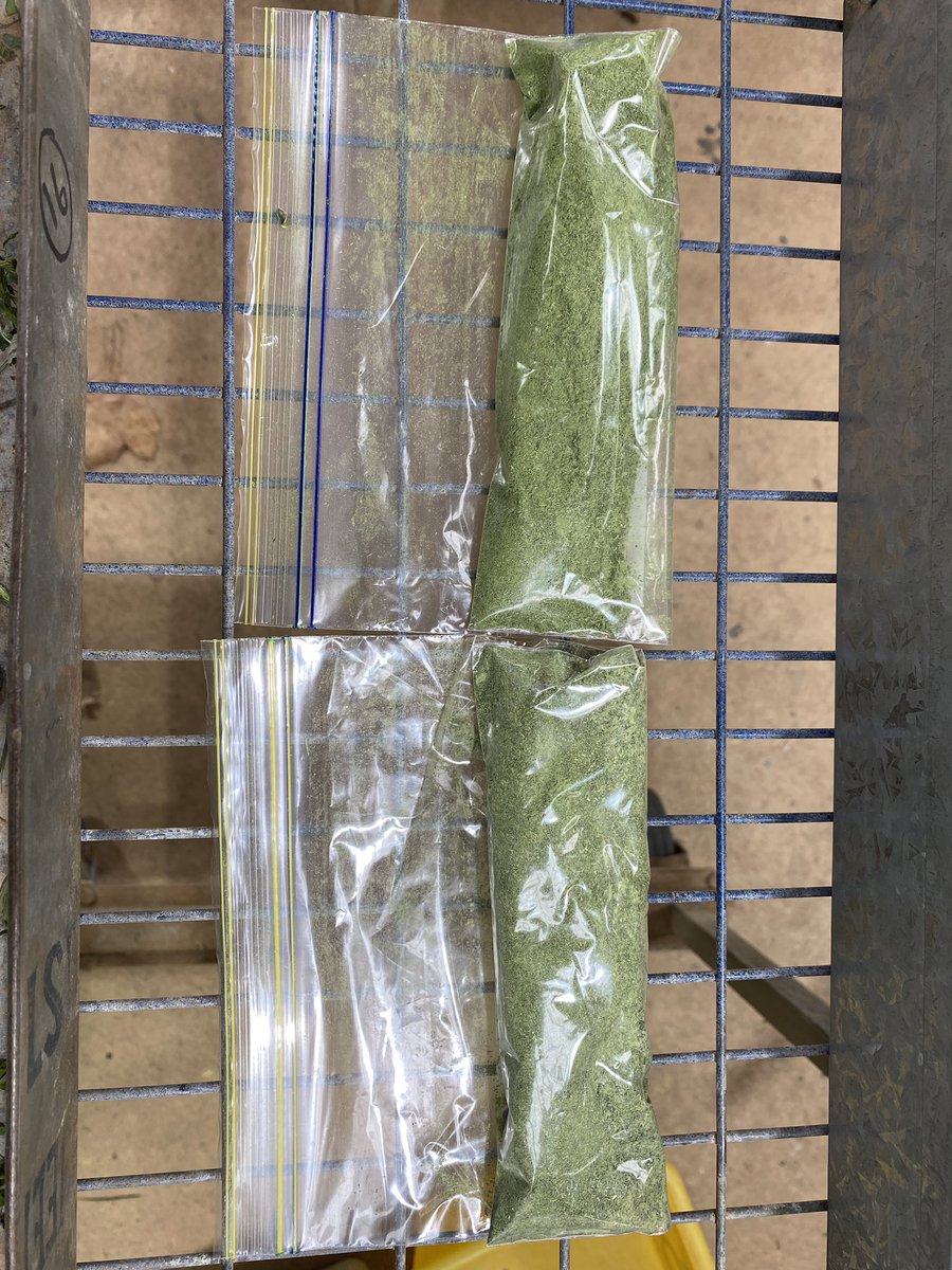 PhilCranney's tweet photo. Finishing the last of the quality samples from the Cabonne Pasture Competition, ready to send to lab today. @lawbal44 your two here, ground up, hard to pick the Fescue from the lucerne https://t.co/iSsHNYOFrP