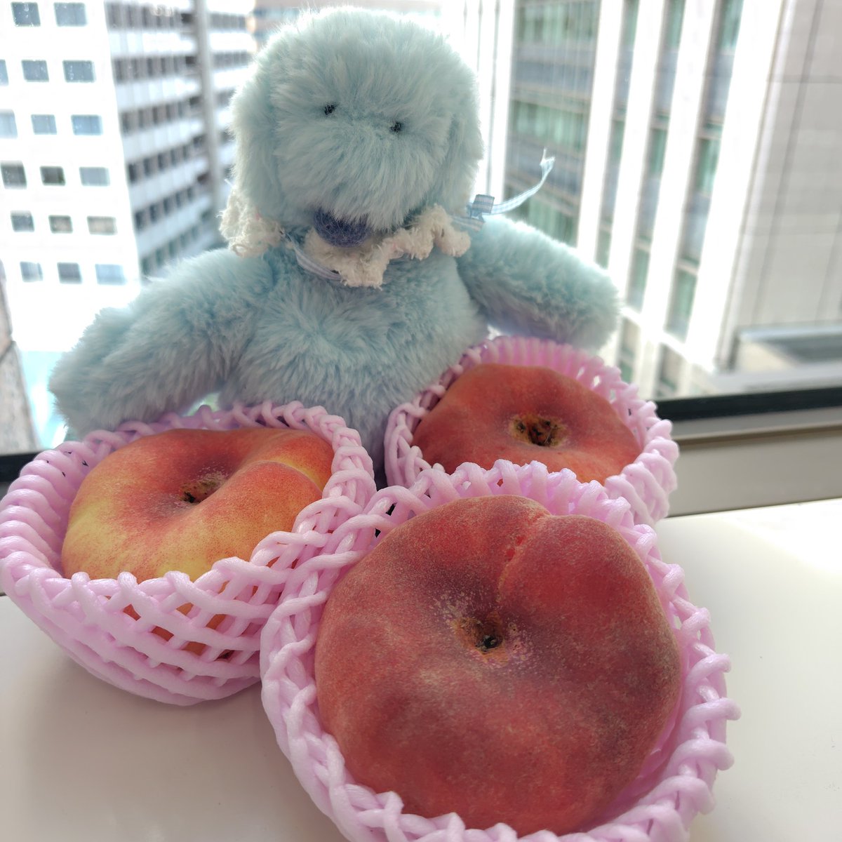 蟠桃？とってもあまい香り🩵🩵ぼく不老長寿になれちゃうの？わぁい🩷すごーい🍑福島県国見町で作ってる珍しい桃なんだって